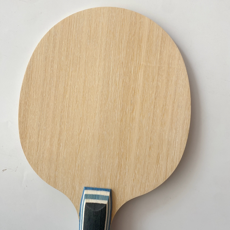 Raquette de tennis de table en - Table Tennis Zlc avis et prix