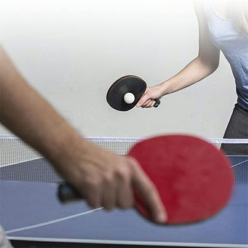 Filet de tennis de table porta - Table Tennis Online avis et prix