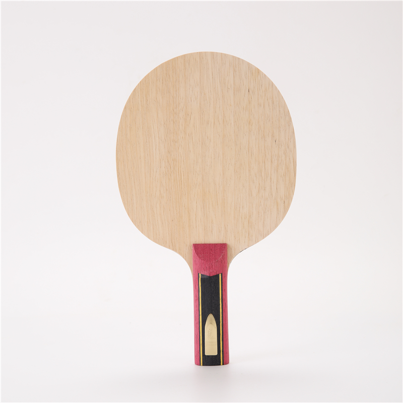 Stuor-Raquette de tennis de ta - Table Tennis Zlc avis et prix