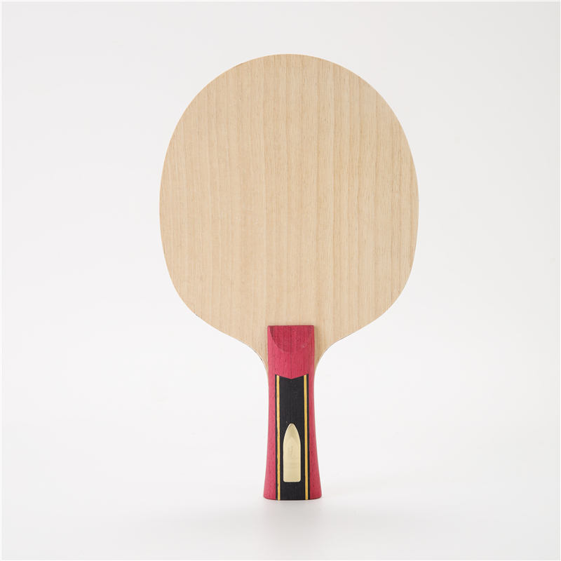 Stuor-Raquette de tennis de ta - Table Tennis Zlc avis et prix