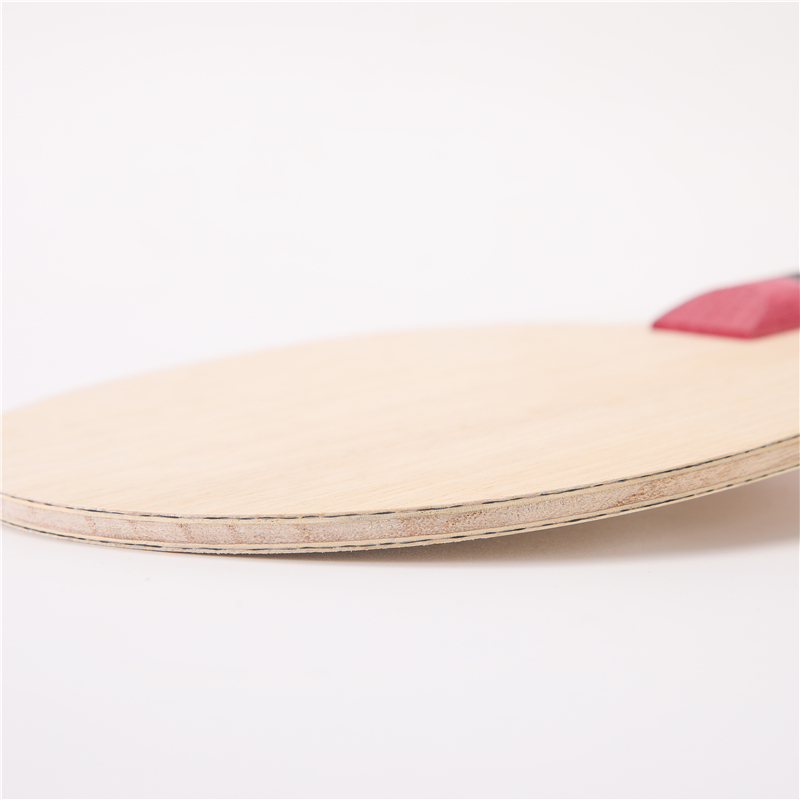 Stuor-Raquette de tennis de ta - Table Tennis Zlc avis et prix