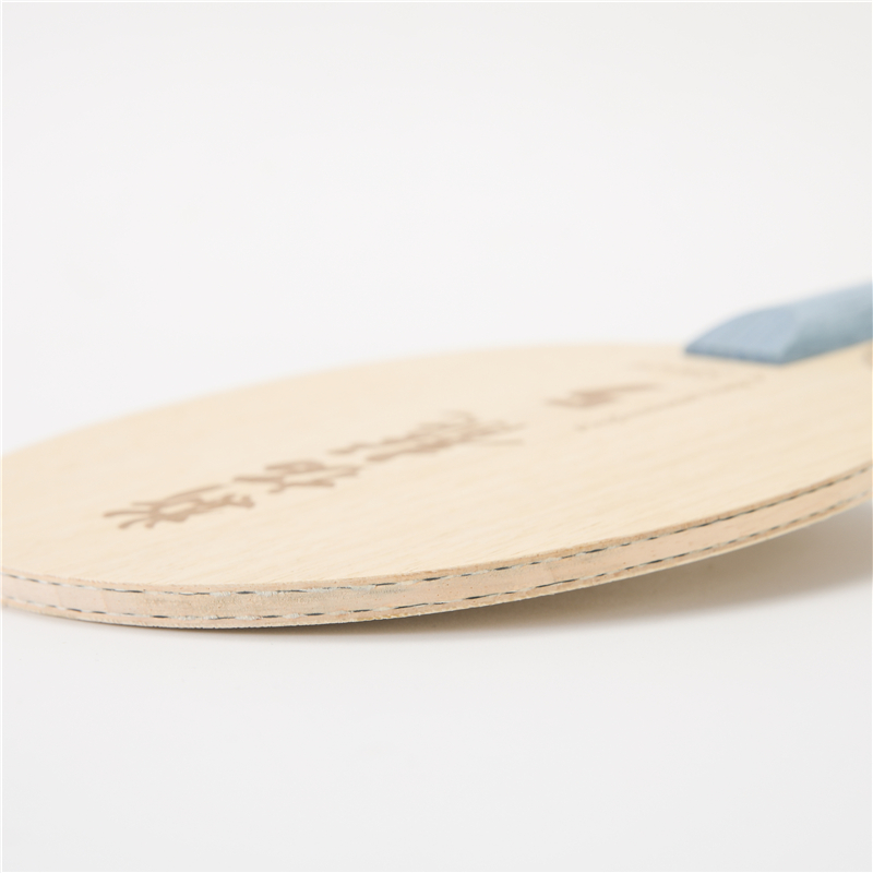 Stuor Dragon 5 lame de Tennis  - Table Tennis Zlc avis et prix